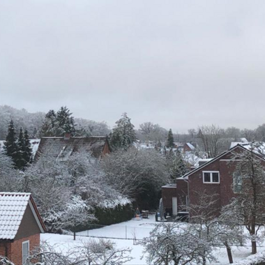 Seltene Bilder aus dem Homeoffice