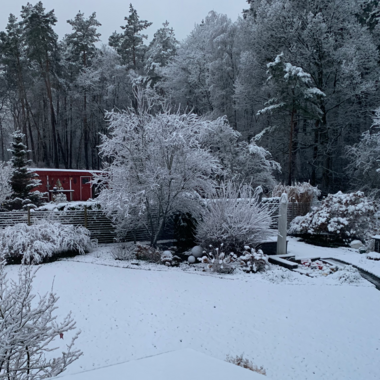 Seltene Bilder aus dem Homeoffice